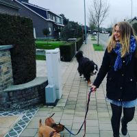Hondenuitlaatdienst Sint-Michiels: Miranda