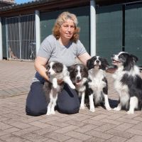 Hondenuitlaatdienst Neeroeteren: Nancy