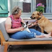 Hondenuitlaatdienst Diepenbeek: Kerstin