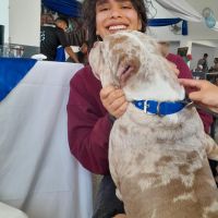 Hondenopvang Hove: Maia Alvarado 