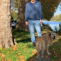 Hondensitter Mechelen: Maarten